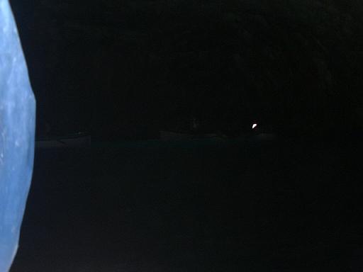 ���E�E�E